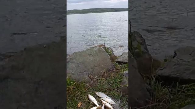 1000015334.mp4