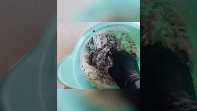 СҮЗБЕЛІ ПИРОГ . ТВОРОЖНЫЙ ПИРОГ . смотреть онлайн