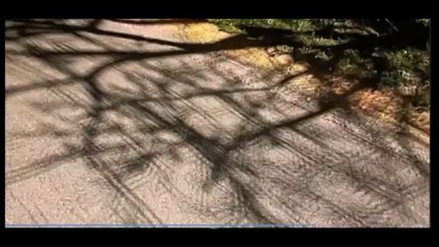 Луна ушла в _самоизоляцию_, Венера улетела на _удалёнку_, тени становятся в клеточку... смотреть онлайн