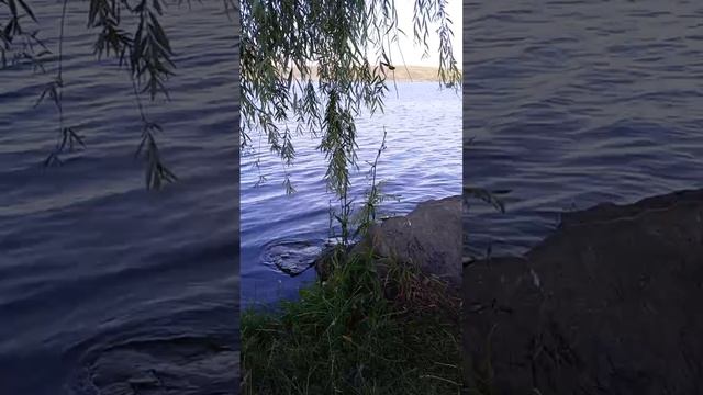 1000015333.mp4