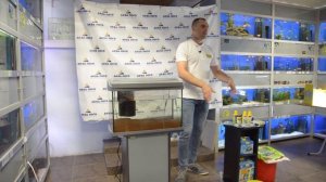 Мастер-класс Здоровье рыб в аквариуме.