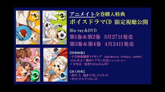 TVアニメ「織田シナモン信長」BD/DVD全巻購入特典－ボイスドラマCD視聴－