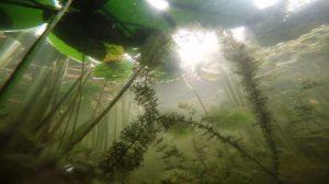 Подводная охота на супер озере. Новичок.