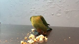 3803685-hd_1920_1080_30fps