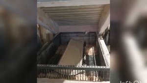 Моллирование стекла