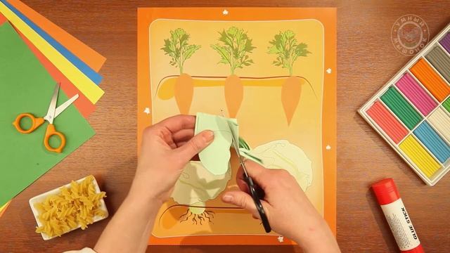 Времена года 5+ Осень. Овощи для борща. смотреть онлайн