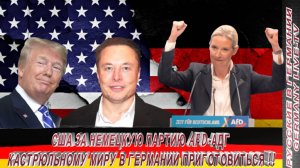 США ЗА НЕМЕЦКУЮ ПАРТИЮ AFD-АДГ ! КАСТРЮЛЬНЫЙ МИР В ГЕРМАНИИ ПРИГОТОВИТЬСЯ !