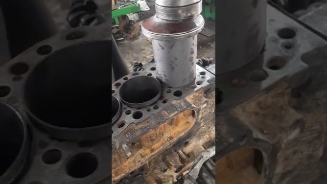 Diesel Engine 5L Cylinder Installation