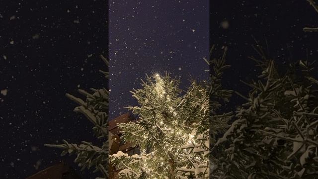 Ma insor la anul in mai - DJPOCOL смотреть онлайн