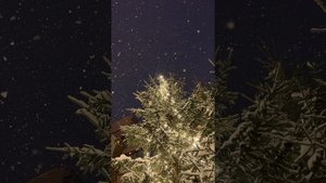 Ma insor la anul in mai - DJPOCOL