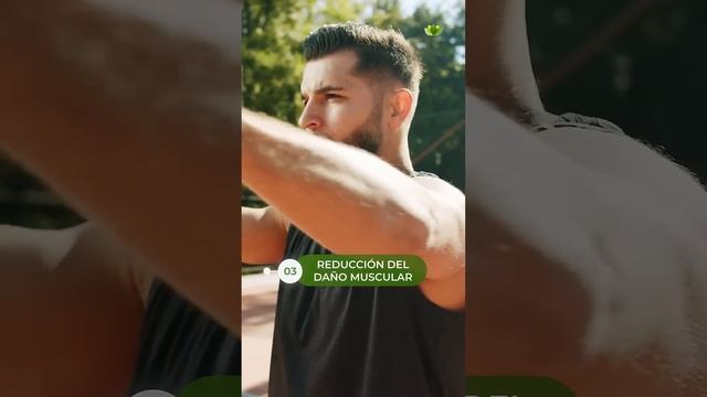 Cúrcuma + Pimienta смотреть онлайн