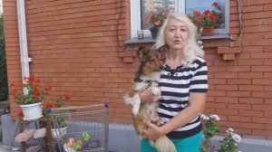 Тобик 🐶 борется с травой 🌿🌾🌱 Мои #питомцы #алабай и #шелти