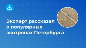 Эксперт рассказал о популярных экотропах Петербурга