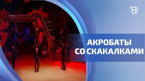 Артистам цирка «Аншлаг» покорилась вершина международного фестиваля