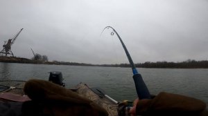 поехал ловить судака а попал на всё, судак, жерех, толстолоб, густера, подлещик, вот так сезон 2025