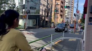 Таксі в Японії. Таксопарк Японії, Toyota JPN taxi та Toyota Crown