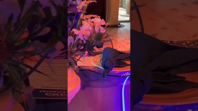 Двое абсолютных разных объединены одним - любовью #организациясвадьбы#свадебноеагентствоспб#shorts