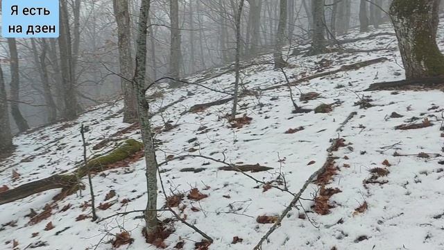 #21 Особенности зимнего поиска с металлодетектором в Краснодарском крае.