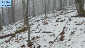 #21 Особенности зимнего поиска с металлодетектором в Краснодарском крае.