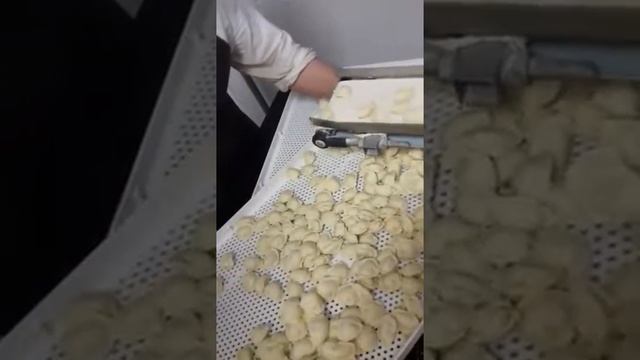 Перфорированный лоток на производстве пельменей (МашПромТехнологии) смотреть онлайн