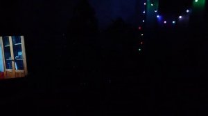 Алиса и новогодняя ёлка 2024