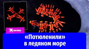 Экстремалы в гидрокостюмах поплавали в холодном Баренцевом море