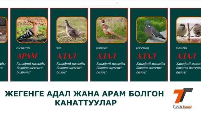 Жаныбарлар жана канаттуулар