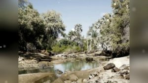 Cover на песню Эльбрус Джанмирзоев-Весенний снегопад