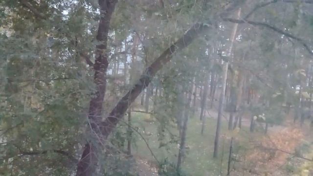 Самвел Адамян / Самвел скоро будет провожать Надежду, новости от Эдика !!!