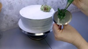 Суккуленты на торте/Торт с кактусами