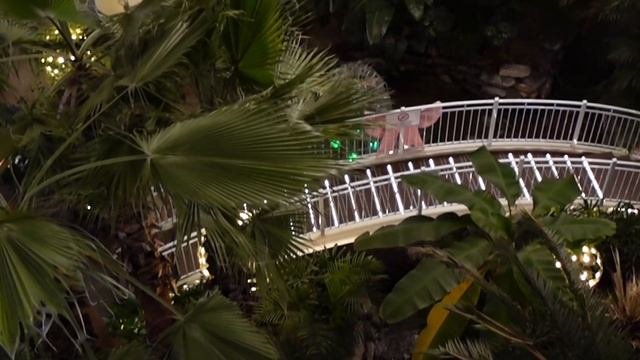 Влог Ли. Эпизод 7: русский плов в Корее, «Дурак» и трехэтажное кафе смотреть онлайн