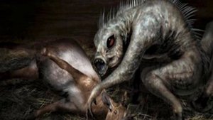 ЧУБАКАБРА ДЕГЕН МАҚҰЛЫҚ ЖАЙЛЫ НЕ БІЛЕСІЗ?