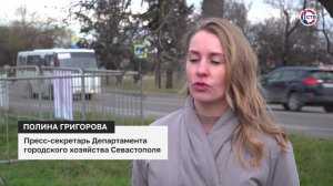 В Севастополе открылись пункты приёма новогодних ёлок