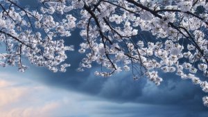 Критерий истинного  пробуждения . Что делать, когда социум втягивает вас в свои игры?