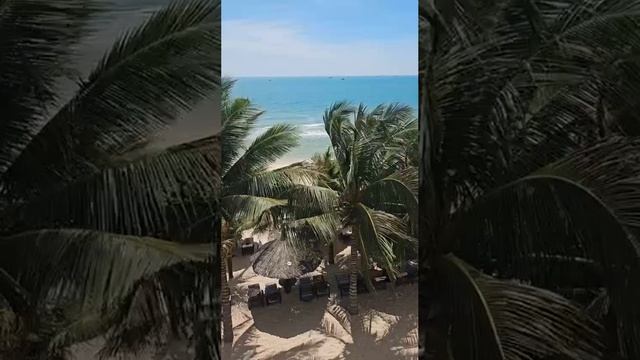 В Муйне, Вьетнам🇻🇳
пляж Sea Links