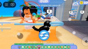 снимаем  побег питомцев!