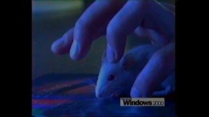 Реклама Windows 2000 на ОРТ