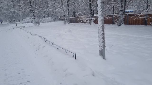 СНЕГОПАД В ПИТЕРЕ!