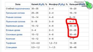 ВАМ ВРУТ О КИСЛОТНОСТИ ПОЧВЫ! Вот что надо знать - самое главное о кислотности почвы.