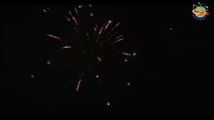 UR104 Сектор Приз 25*0,8