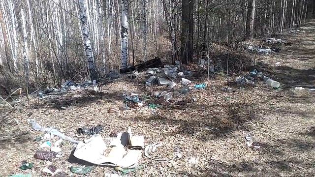 Отправить смотреть онлайн