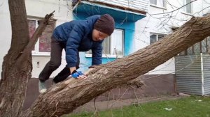 Надо правильно лазить по деревьям и чеканить мяч и бегать Как надо правильно лазить по деревьям и т