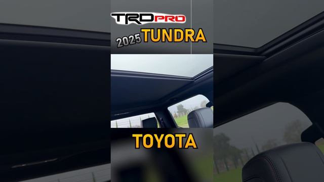 Toyota Tundra TRD Pro 9