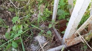 Столб металлический или деревянный.