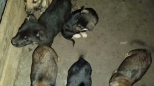 Херсонщина 13 января 2025 года