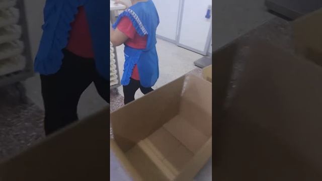 ЛОТКИ ДЛЯ ЗАМОРОЗКИ 340Х460 для пельменей смотреть онлайн