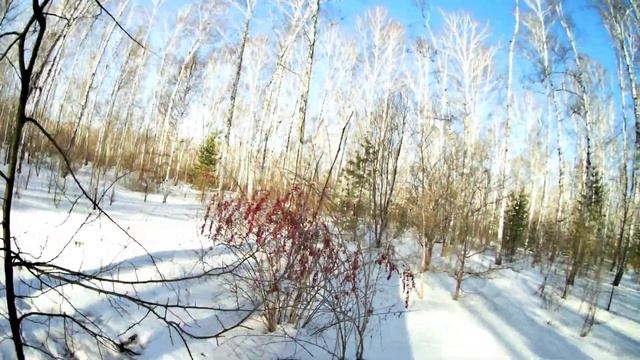 Бухие лыжи этап 2. Поход в лес за осиновыми кольями. Разведка толстого клёна. Обзор ягод и ранеток смотреть онлайн