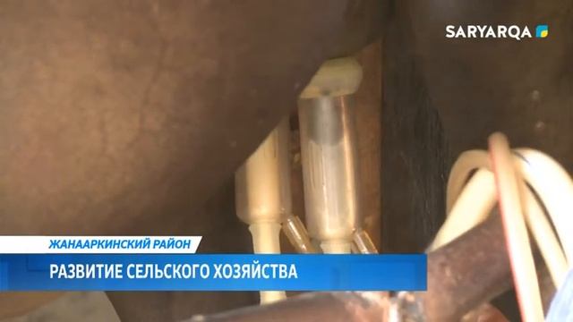 Arqa news | Развитие сельского хозяйства смотреть онлайн