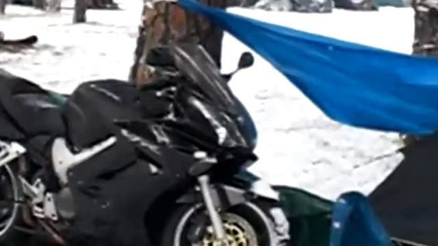 Pinguinos 2009. Club VFR Spain.