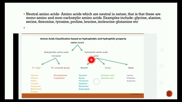 Classification of amino acid part 2| Microbiology notes смотреть онлайн
